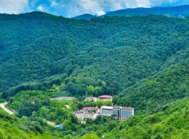 Oylat Kaplıcaları Çağlayan Otel