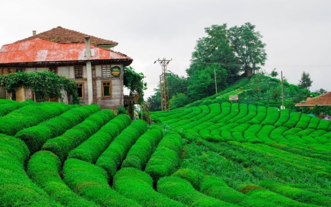 Taşacak Bu Deniz Dizisiyle Karadeniz’in Kalbine Yolculuk