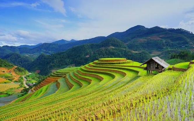 Elegant Vietnam & Kamboçya Türk Hava Yolları ile 8 Gece 11 Gün (SGN-HAN)