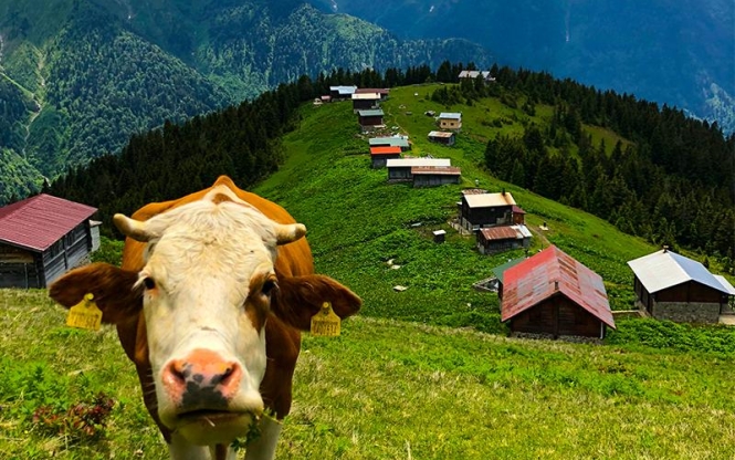 Uçaklı Karadeniz Turu 3 Gece 4 Gün