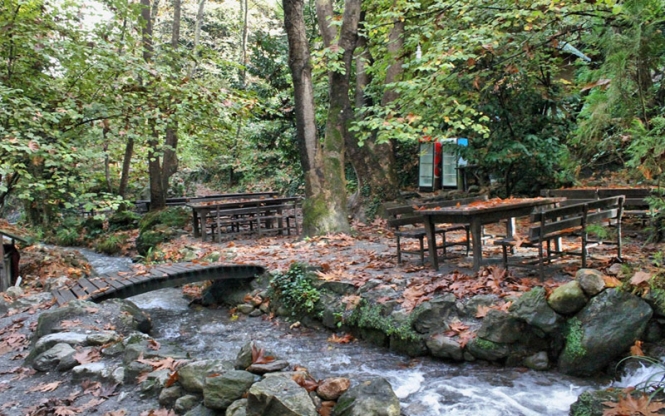 Günübirlik Maşukiye Cam Teras Ormanya Hobbit Evleri Turu Ramazan Bayramı Özel