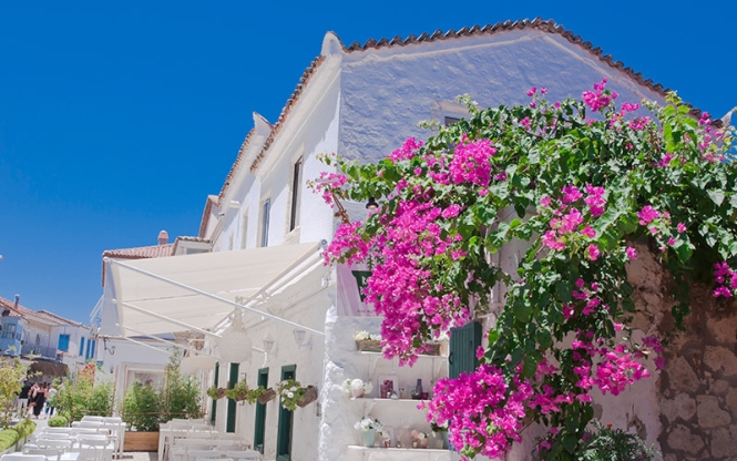 Urla Enginar Festivali 2 Gece Otel Konaklamalı