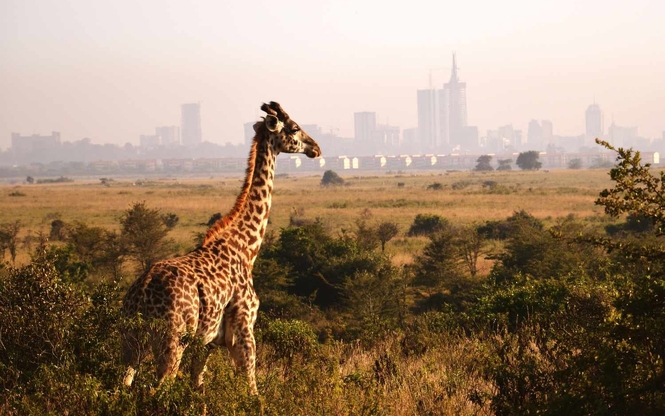 Kenya ve Zanzibar Safari & Okyanus Turu 