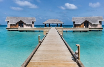 Maldivler & Singapur & Phuket Turu