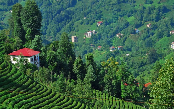 Karadeniz & Batum Turu 3 Gece 4 Gün