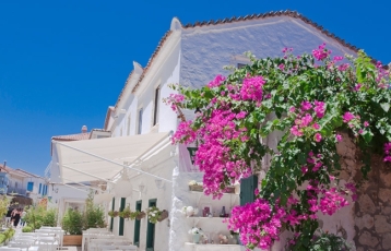 Urla Enginar Festivali 2 Gece Otel Konaklamalı