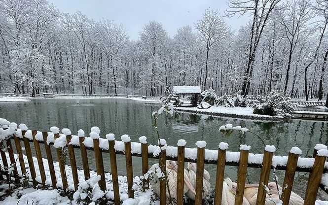 Günübirlik Kartepe Maşukiye Ormanya Cam Teras Turu