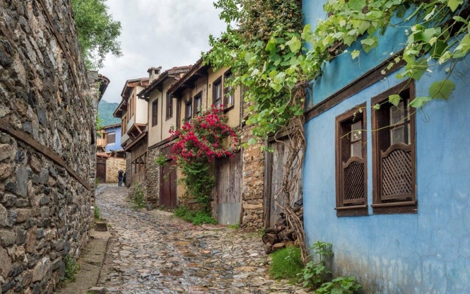 Günübirlik Cumalıkızık Gölyazı Mudanya Trilye Turu